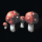 Amanita Amanita