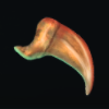 Rat Fang Rat Fang